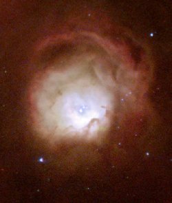 rose nebula