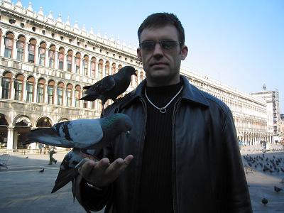 birds in san marco